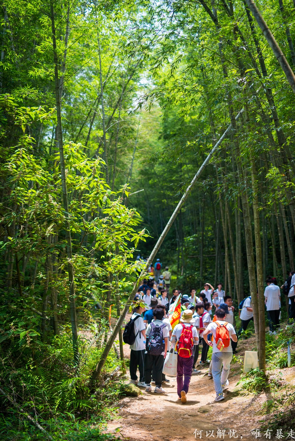 星溪线 20220828 (23)