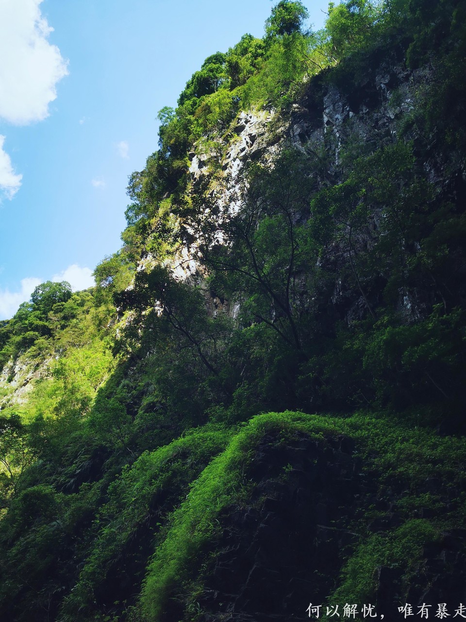 万绿湖 20220827 03