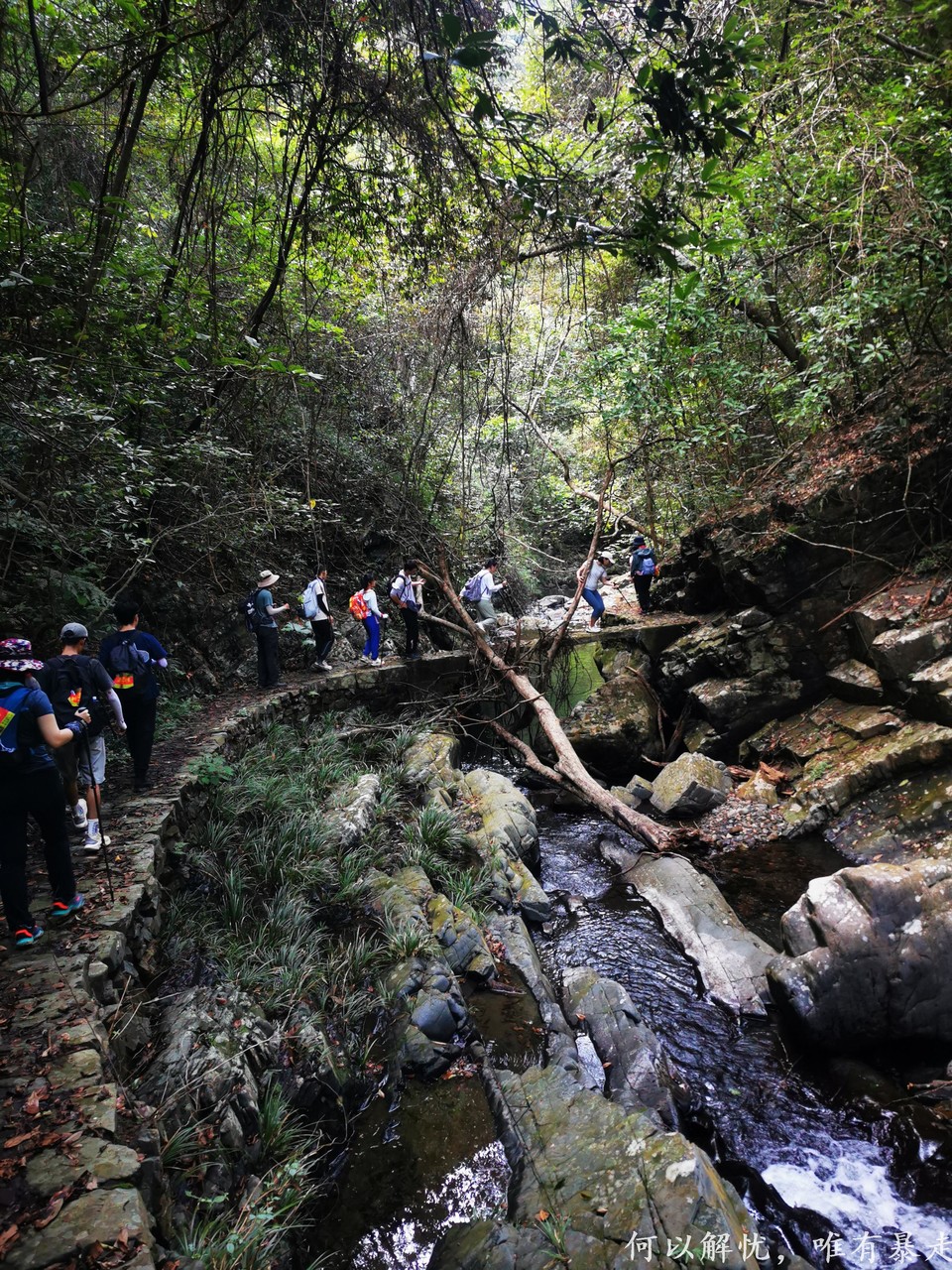 万绿湖 20220827 05