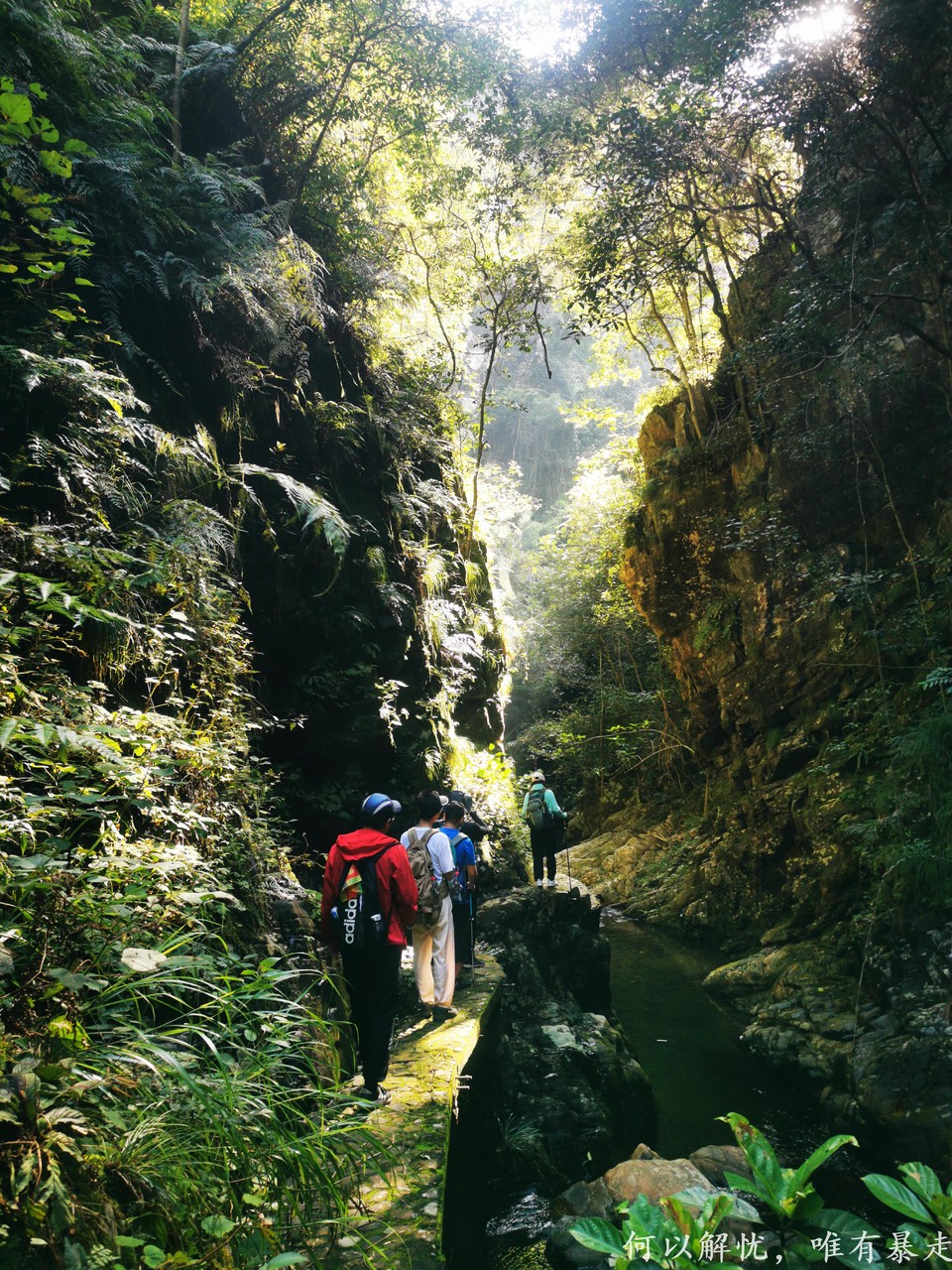 万绿湖 20220827 11