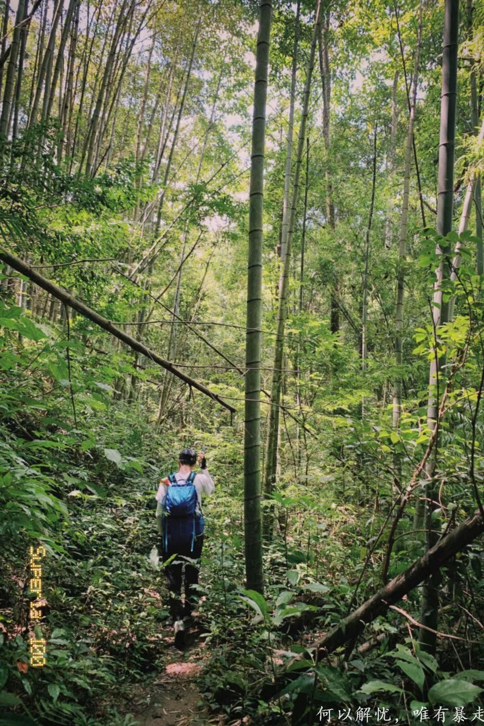 万绿湖 20220827 14