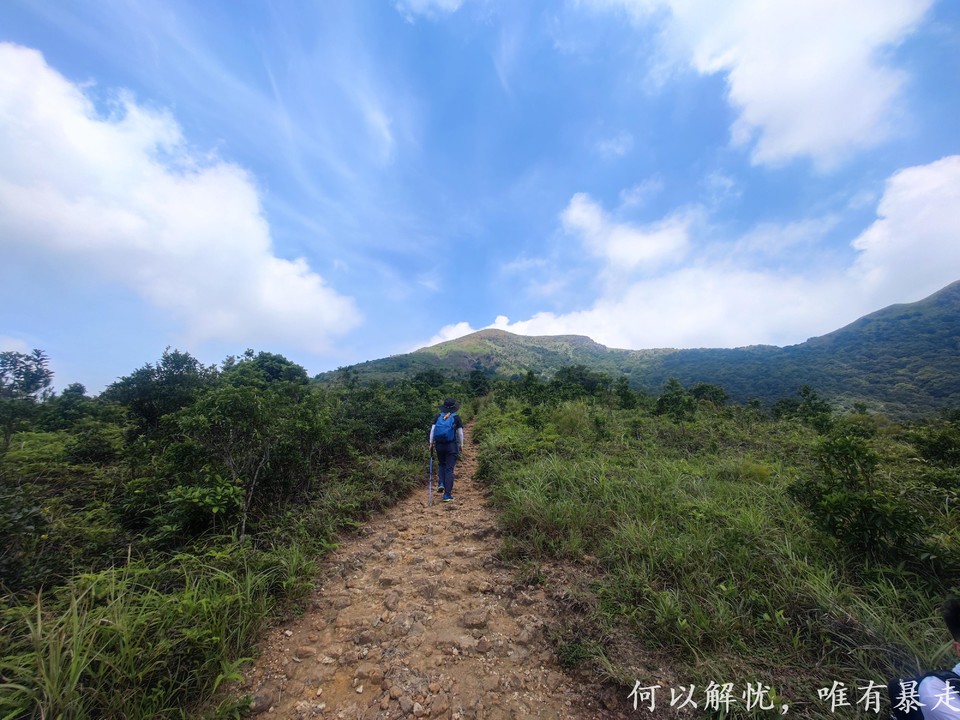 白云嶂银屏嘴 20220827 (6)