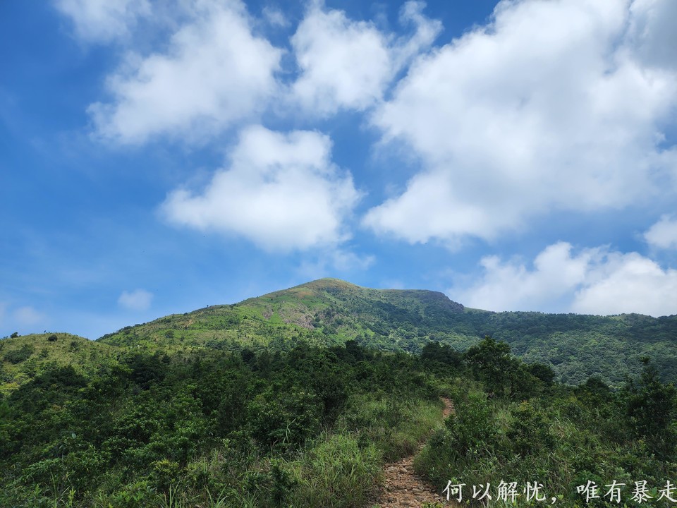 白云嶂银屏嘴 20220827 (19)