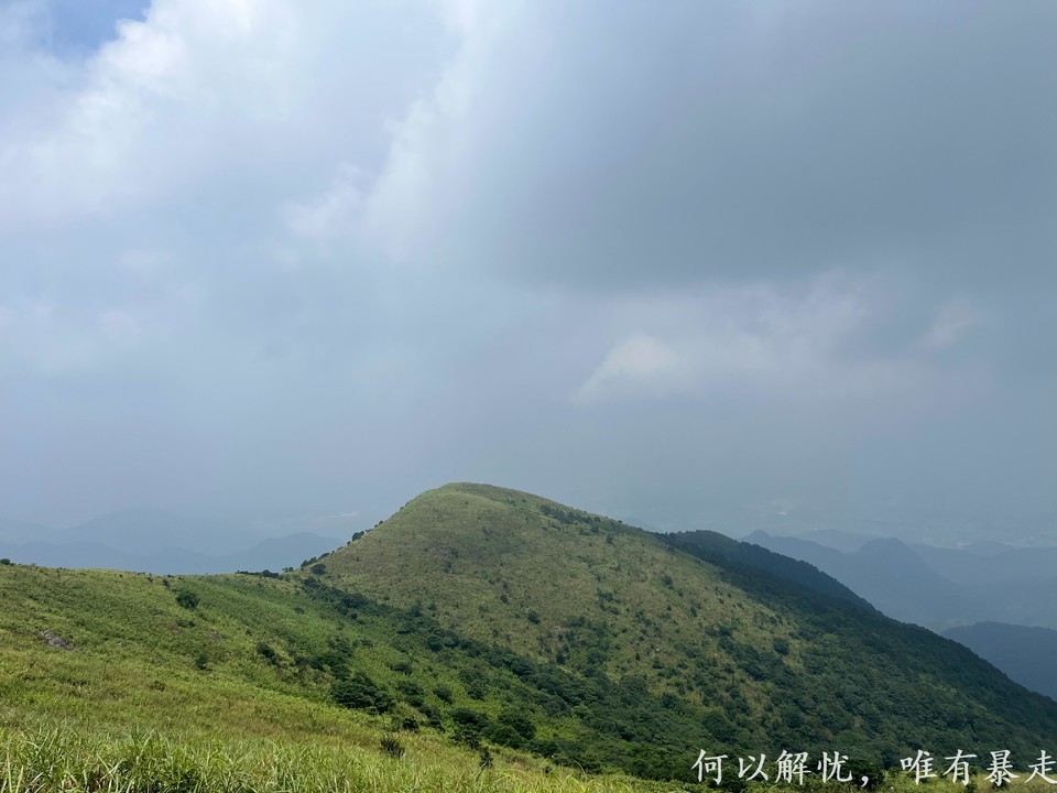 白云嶂银屏嘴 20220827 (21)