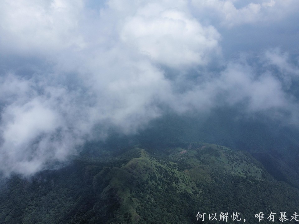 白云嶂银屏嘴 20220827 (22)