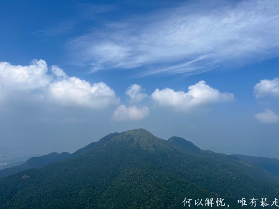 白云嶂银屏嘴 20220827 (23)