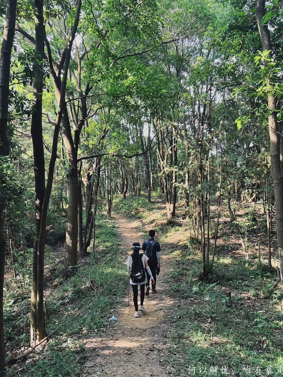 白云嶂银屏嘴 20220827 (29)