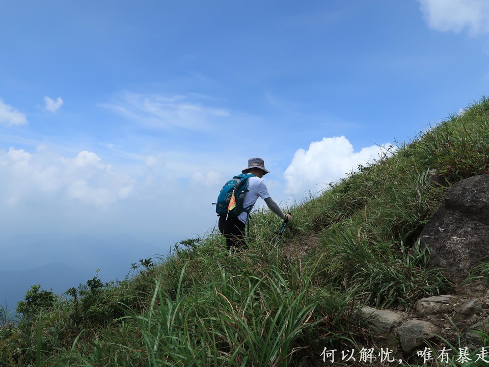 白云嶂银屏嘴 20220827 (32)