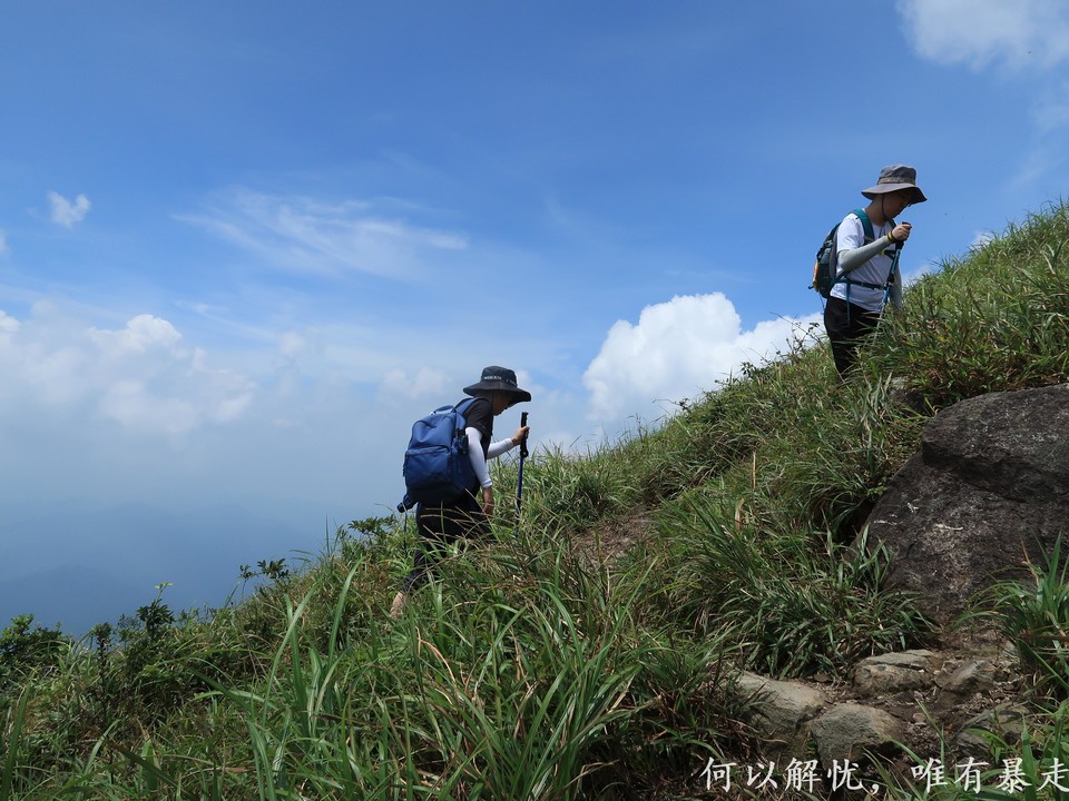 白云嶂银屏嘴 20220827 (33)