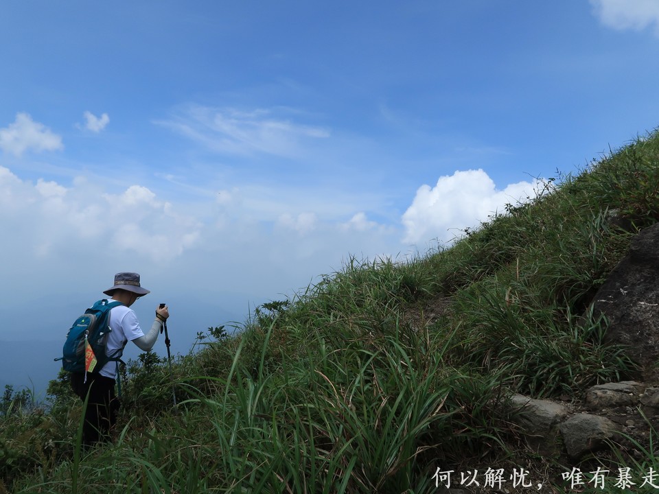 白云嶂银屏嘴 20220827 (34)