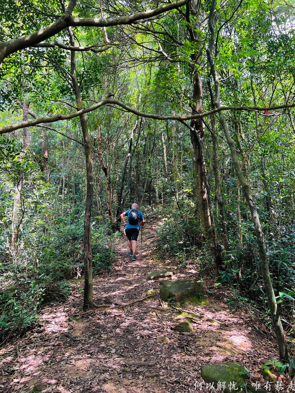 白云嶂银屏嘴 20220827 (37)