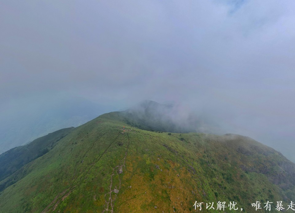 白云嶂银屏嘴 20220827 (39)