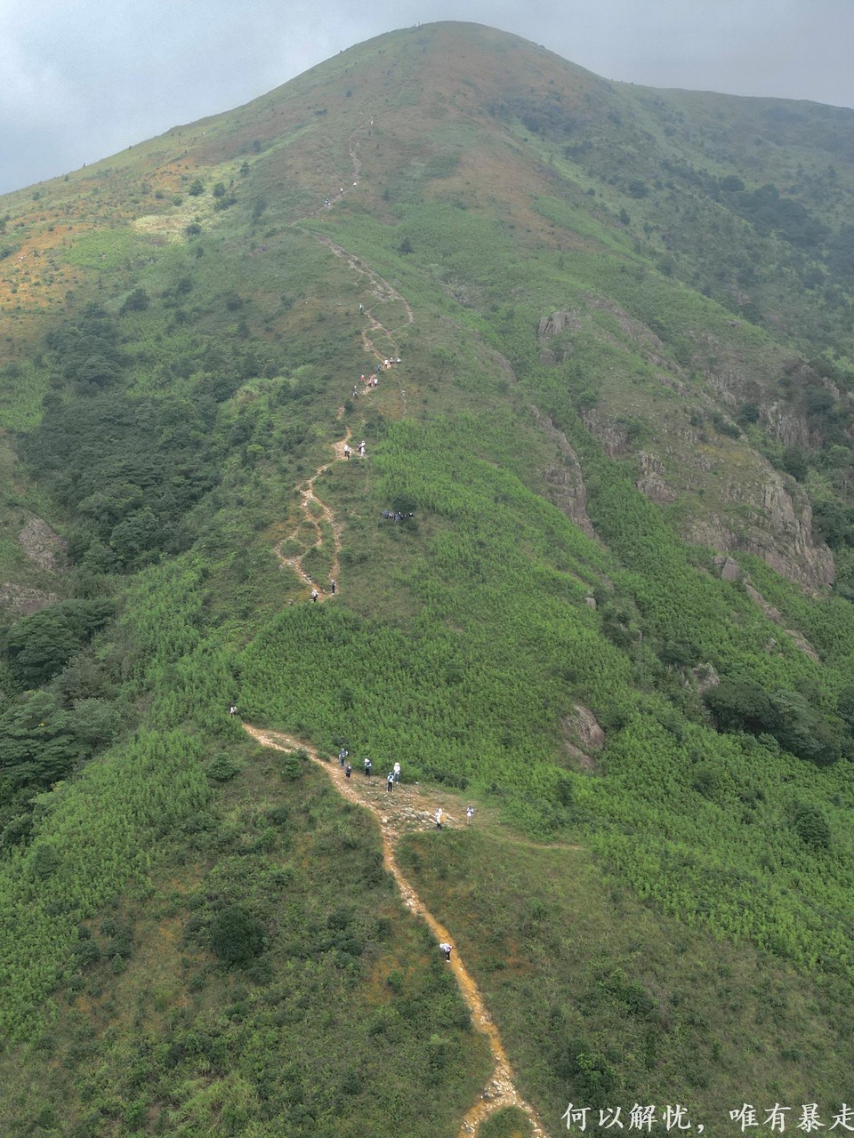 白云嶂银屏嘴 20220827 (40)