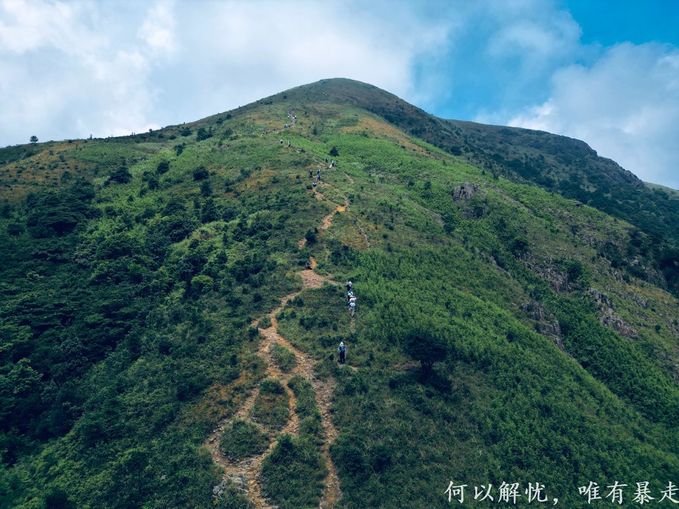 白云嶂银屏嘴 20220827 (42)