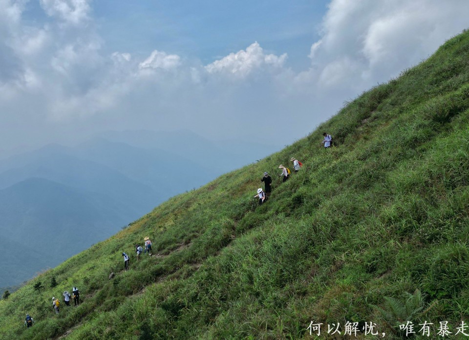 白云嶂银屏嘴 20220827 (45)