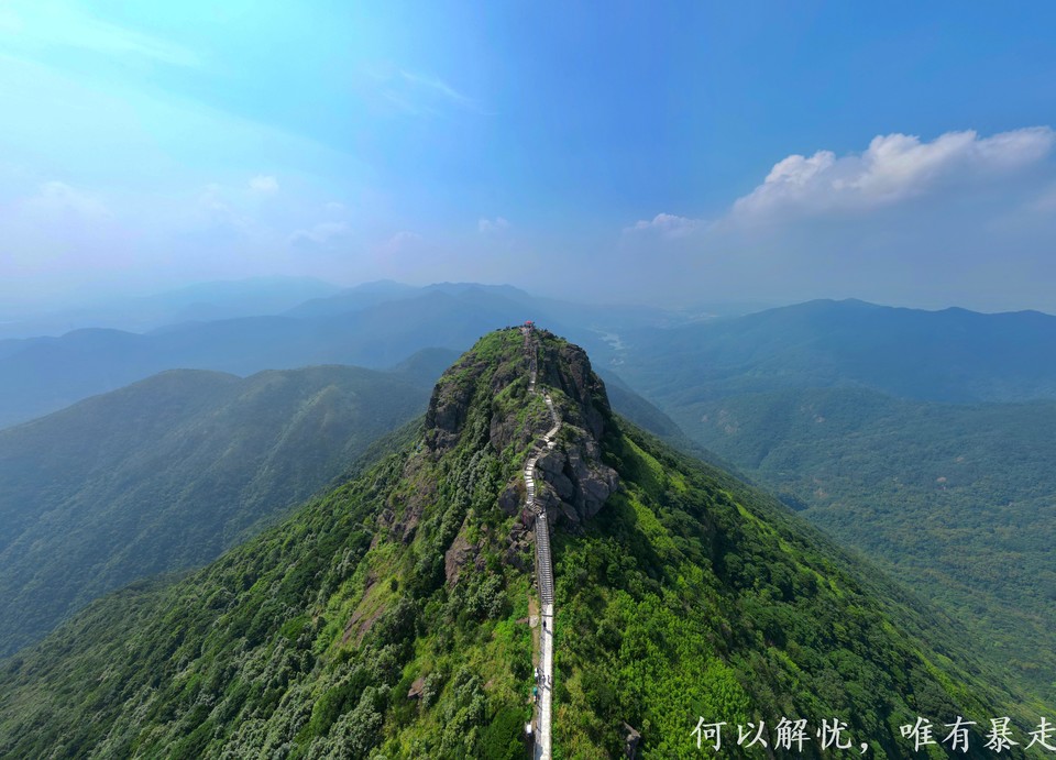 白云嶂银屏嘴 20220827 (47)