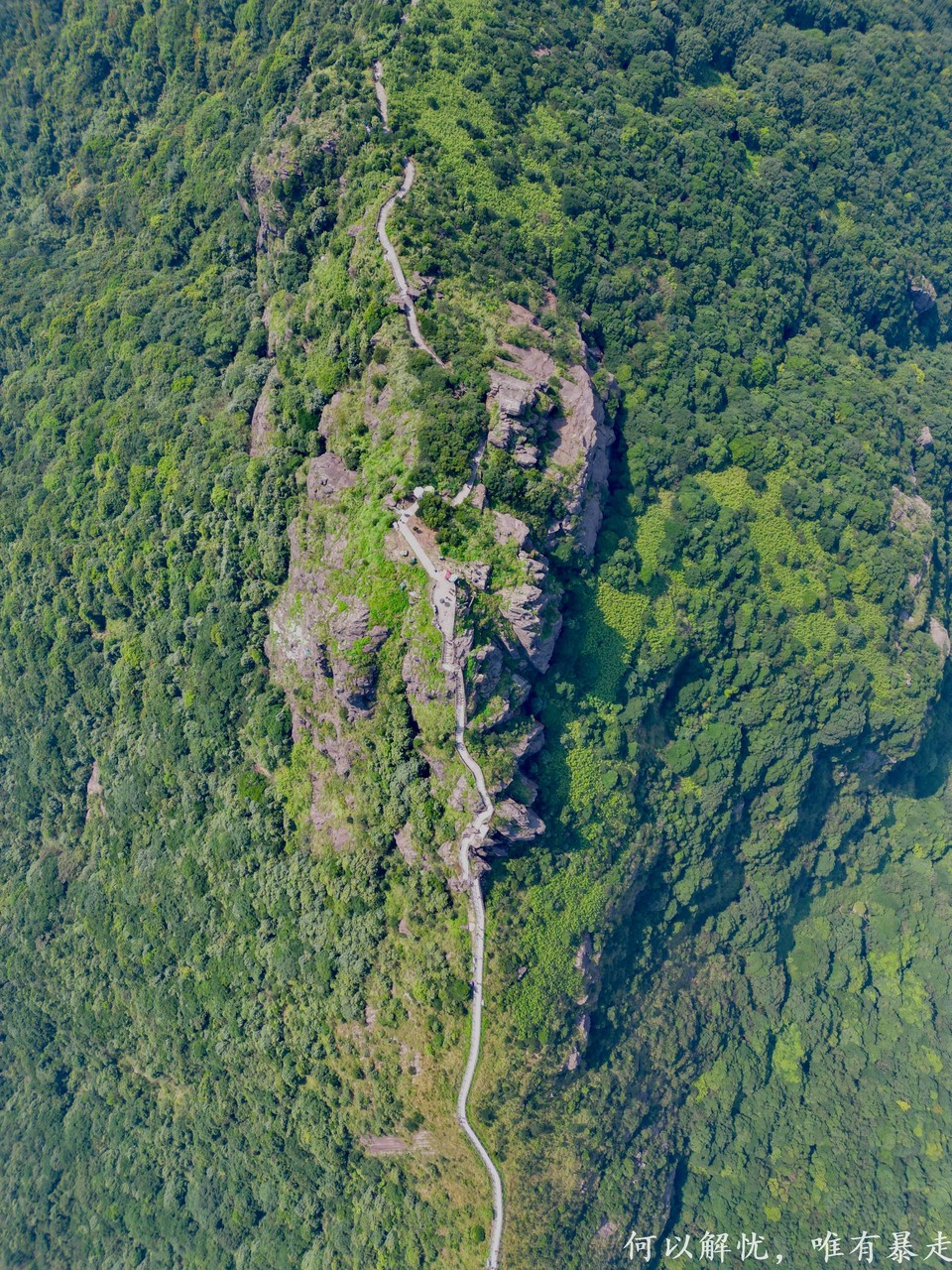 白云嶂银屏嘴 20220827 (48)