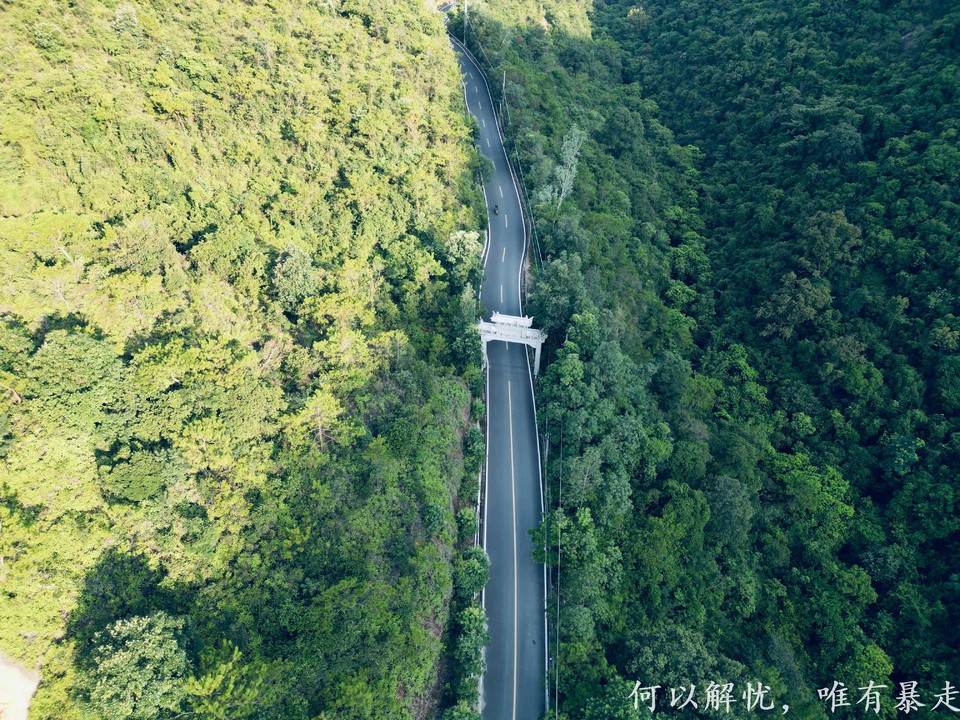 白云嶂银屏嘴 20220827 (50)