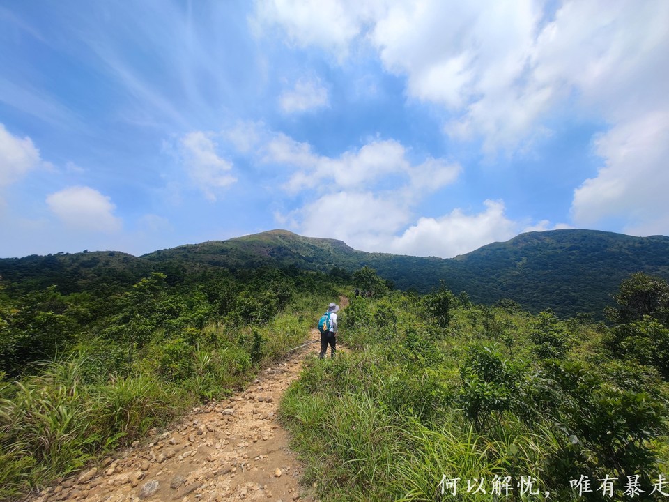 白云嶂银屏嘴 20220827 (52)