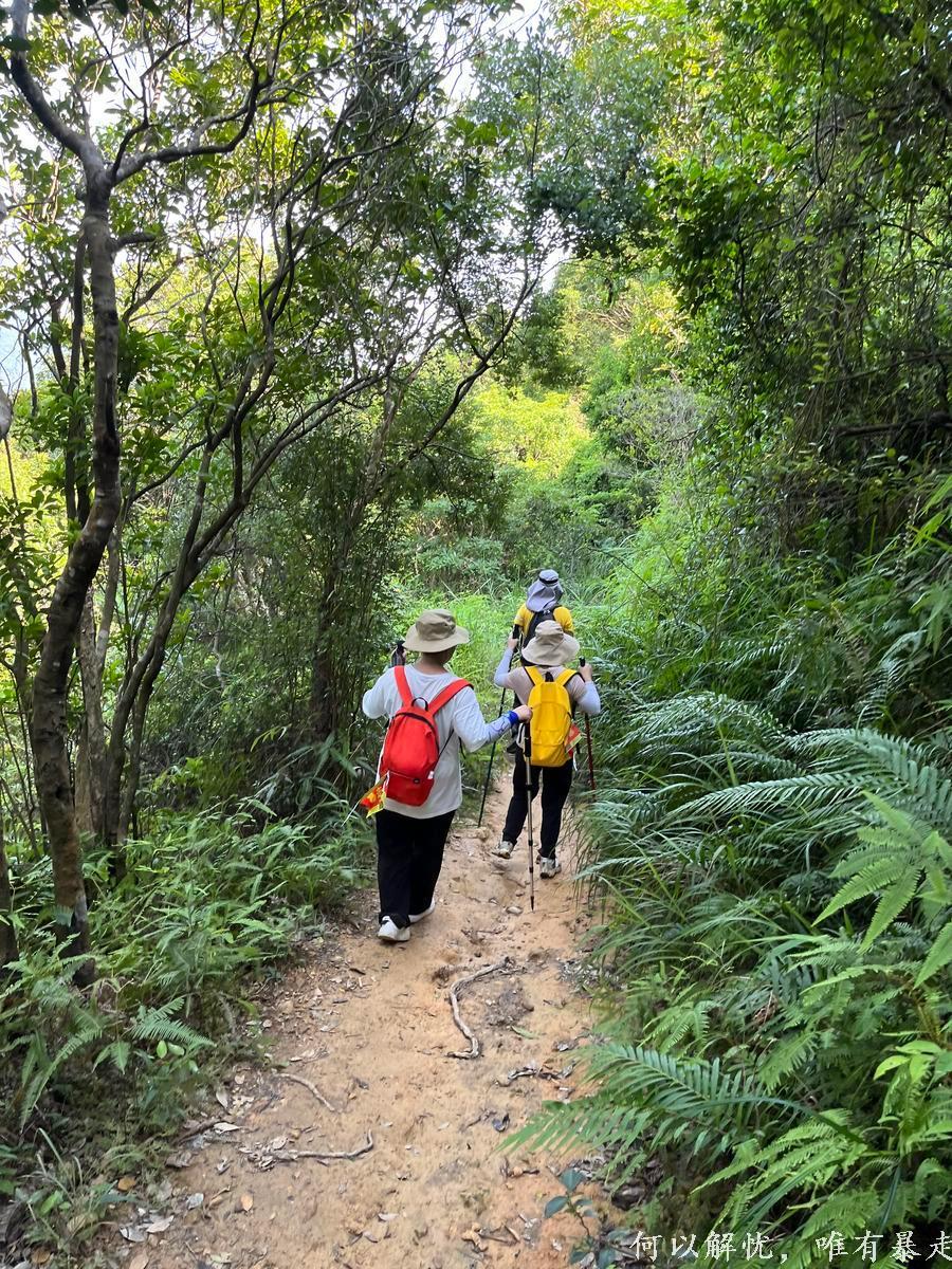 白云嶂银屏嘴 20220827 (53)