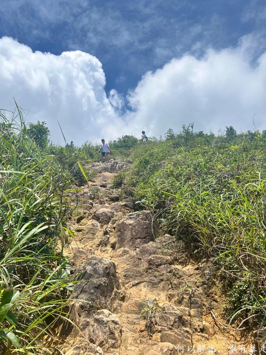 白云嶂银屏嘴 20220827 (28)