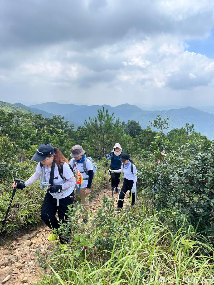 白云嶂银屏嘴 20220827 (4)