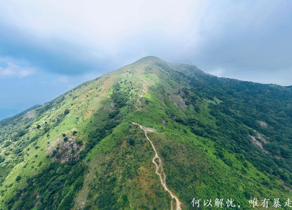 白云嶂银屏嘴 20220827 (41)