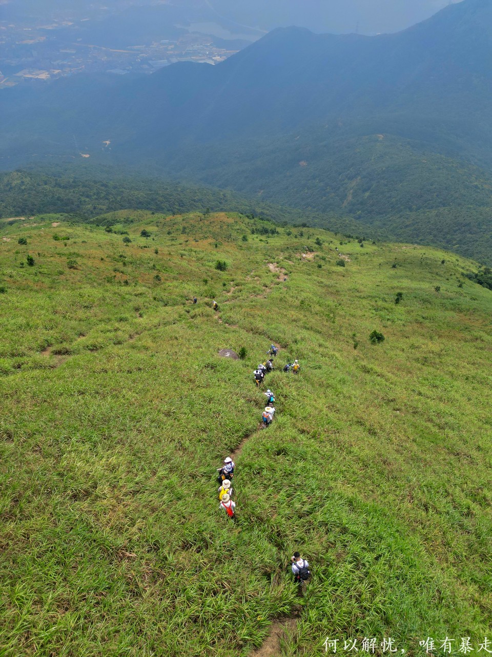 白云嶂银屏嘴 20220827 (43)