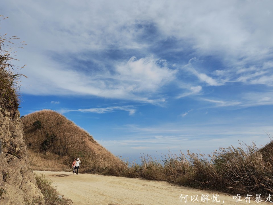 大南山20221030 (32)