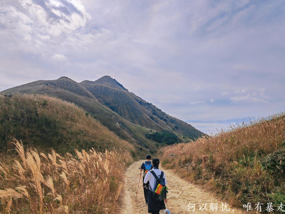 大南山20221030 (31)