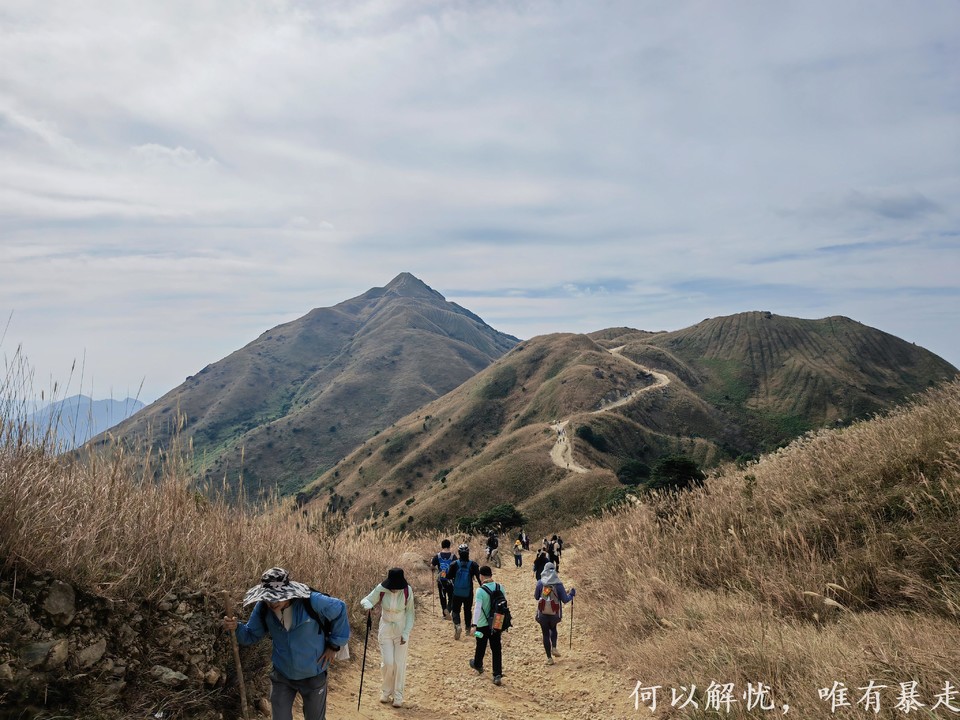 大南山20221030 (30)