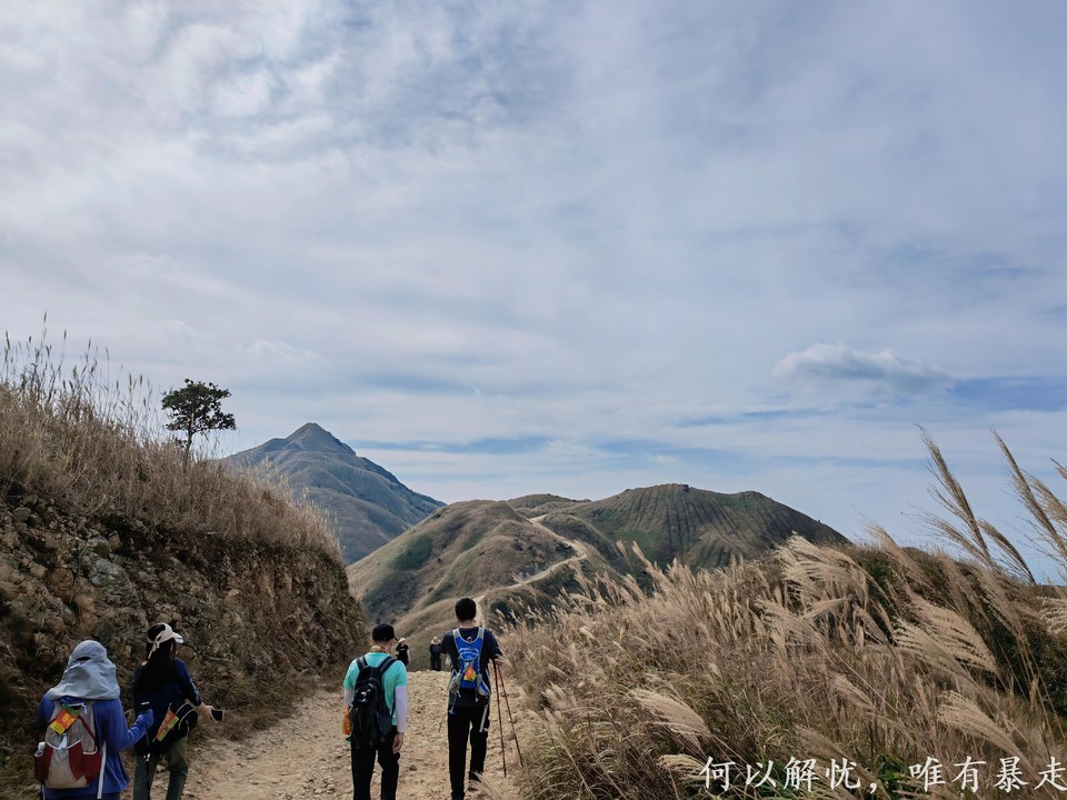 大南山20221030 (29)