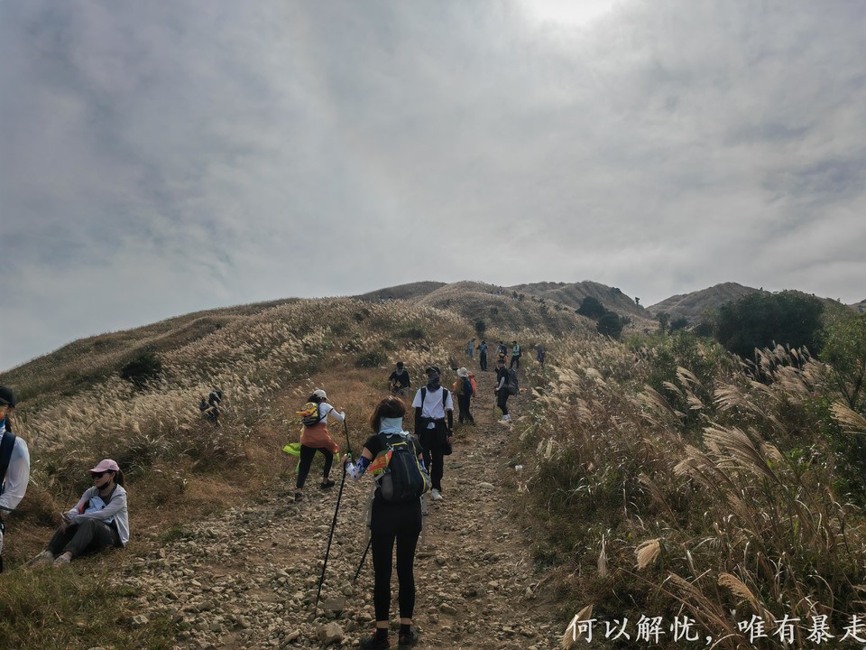 大南山20221030 (28)