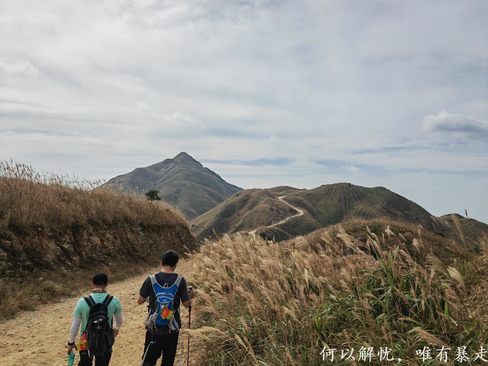 大南山20221030 (26)