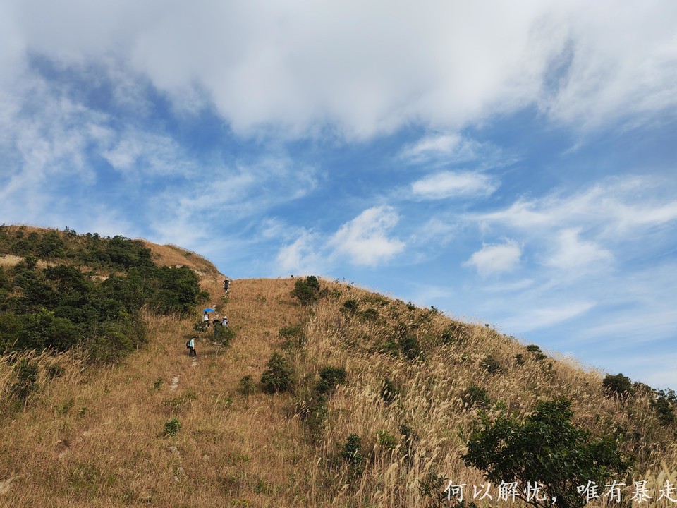 大南山20221030 (25)