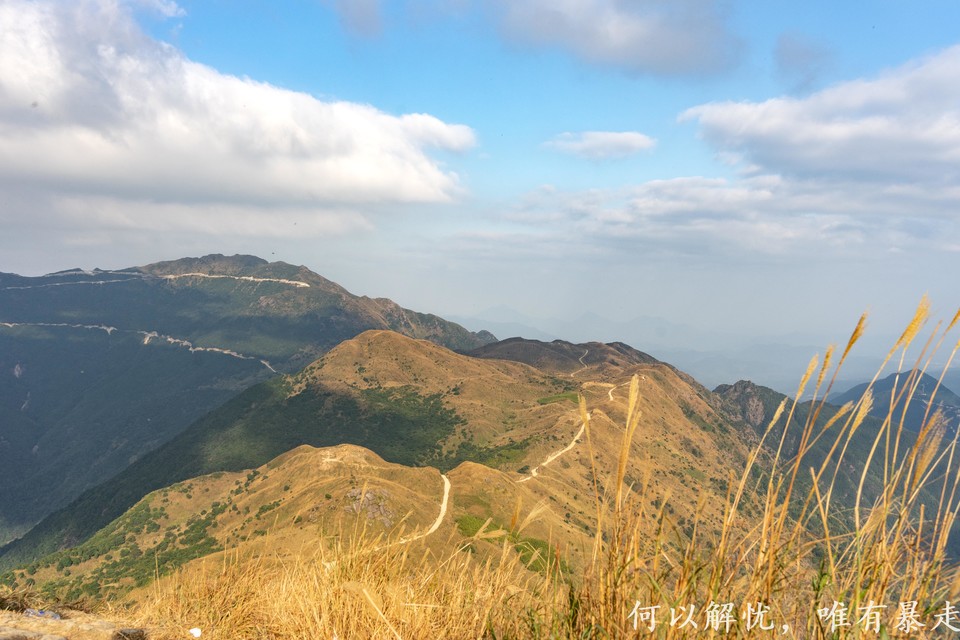 大南山20221030 (24)