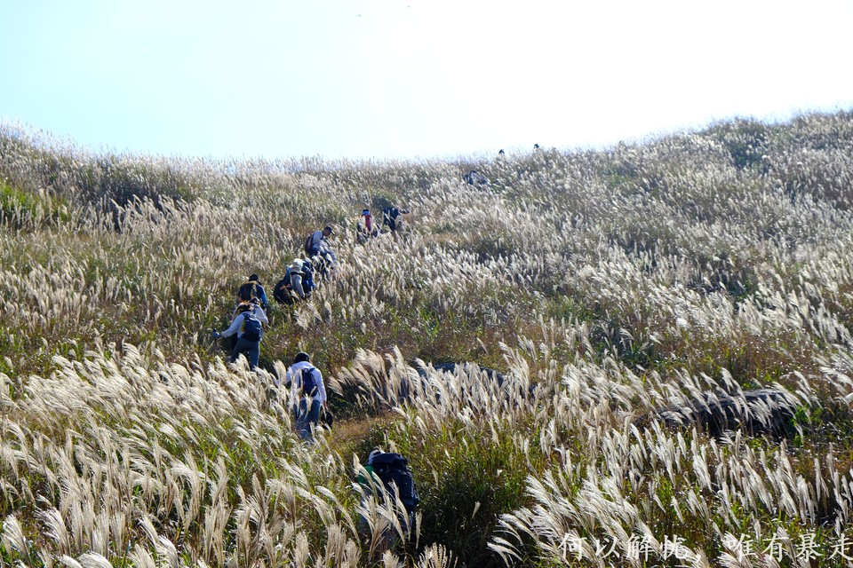 大南山20221030 (22)