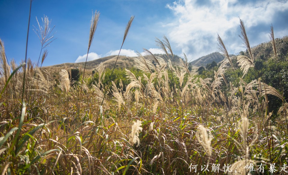 大南山20221030 (21)