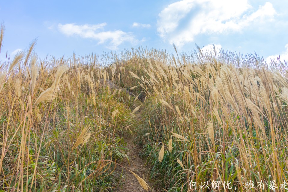 大南山20221030 (20)