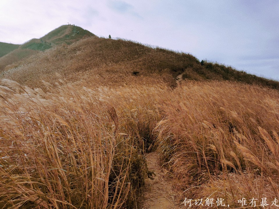 大南山20221030 (17)