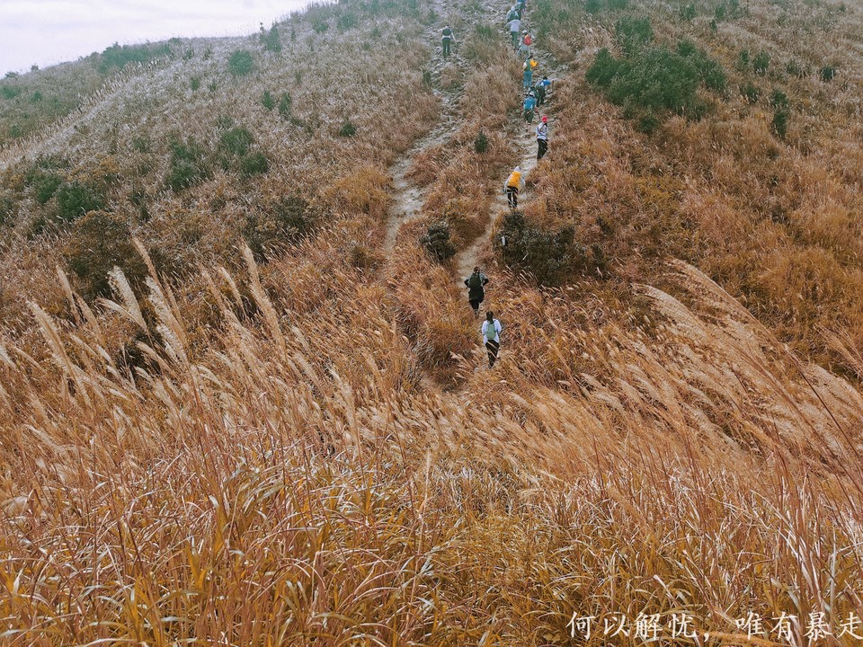 大南山20221030 (16)