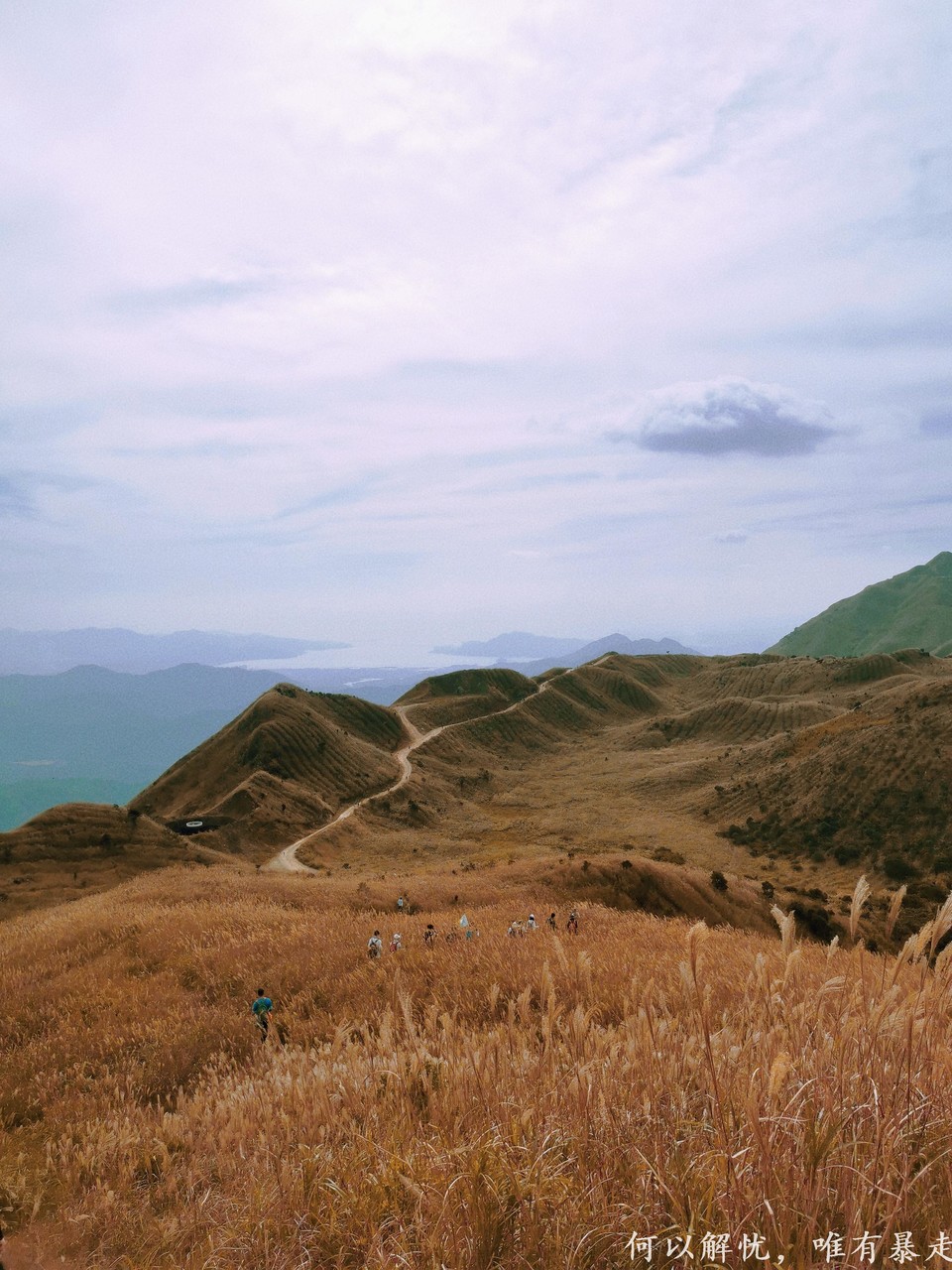 大南山20221030 (15)