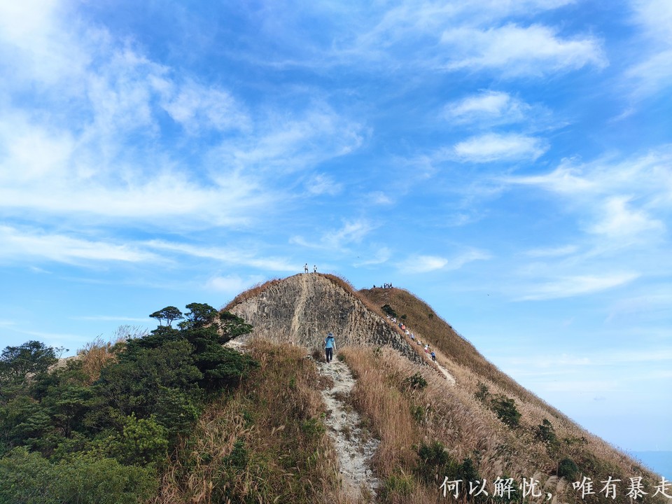 大南山20221030 (13)