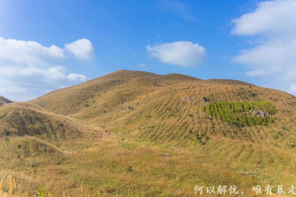 大南山20221030 (11)