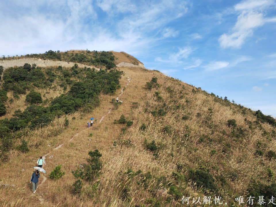 大南山20221030 (10)