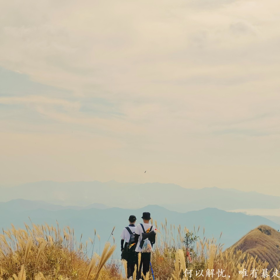 大南山20221030 (7)