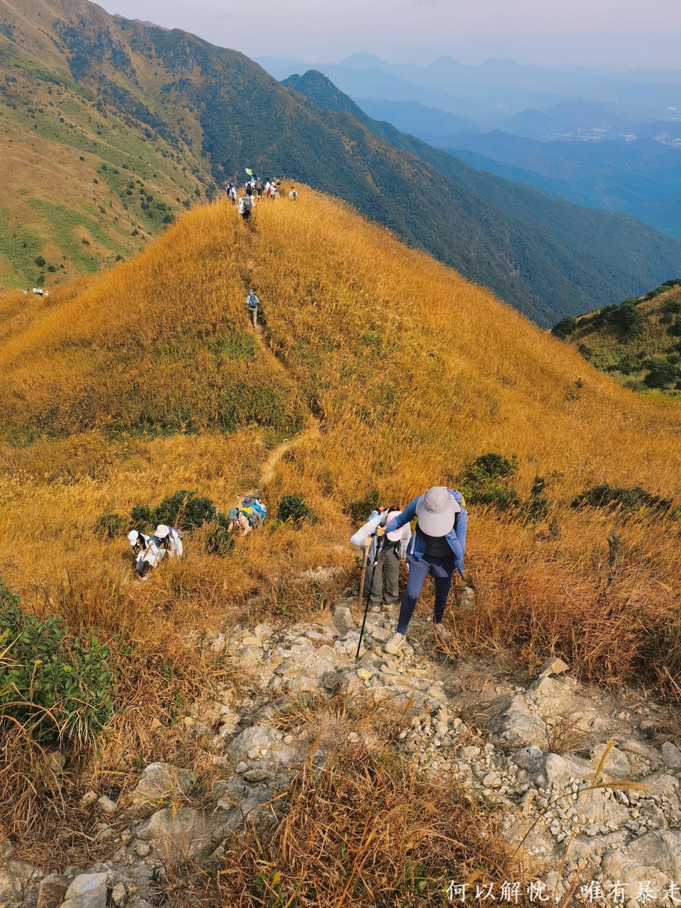 大南山20221030 (6)