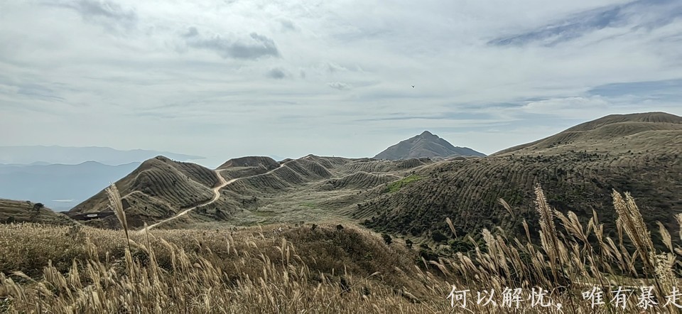 大南山20221030 (5)