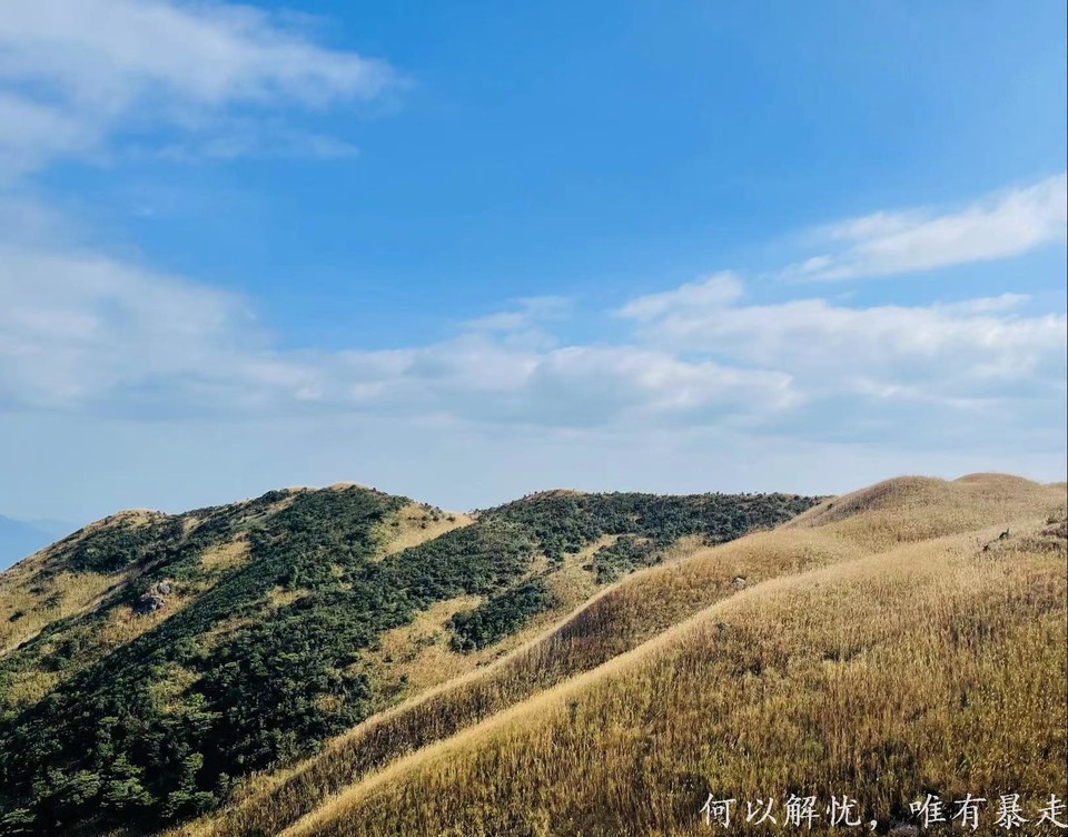 大南山20221030 (1)