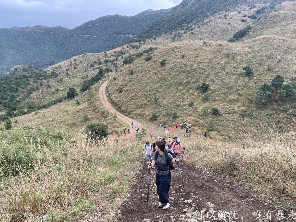 大南山20221106 01